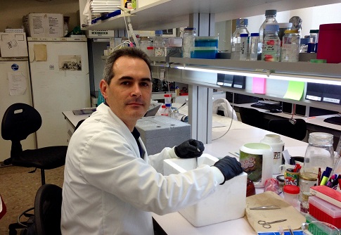 Joel González-Cabrera currently works in the Structure of Interdisciplinary Research BIOTECMED of the Universitat de València